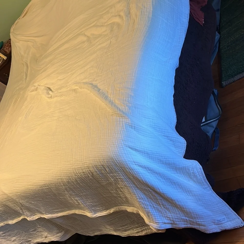 New Anthropologie Amber Lewis Gretchen Gauze Duvet Cover Ivory King